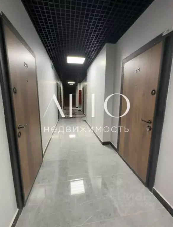 Студия Краснодарский край, Сочи городской округ, Дагомыс пгт ш. ... - Фото 1