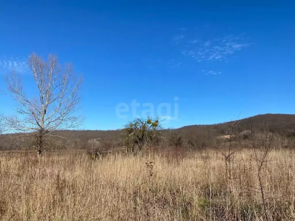 Участок в Адыгея, Майкопский район, пос. Тульский ул. Энергетиков ... - Фото 2