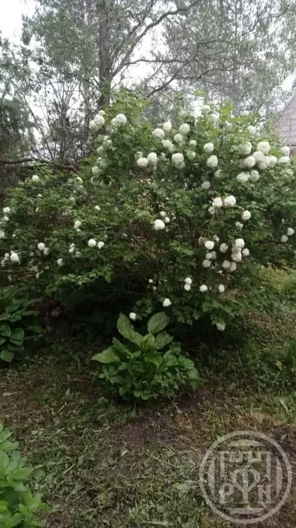 Дом в Ленинградская область, Гатчинский муниципальный округ, Красницы ... - Фото 2