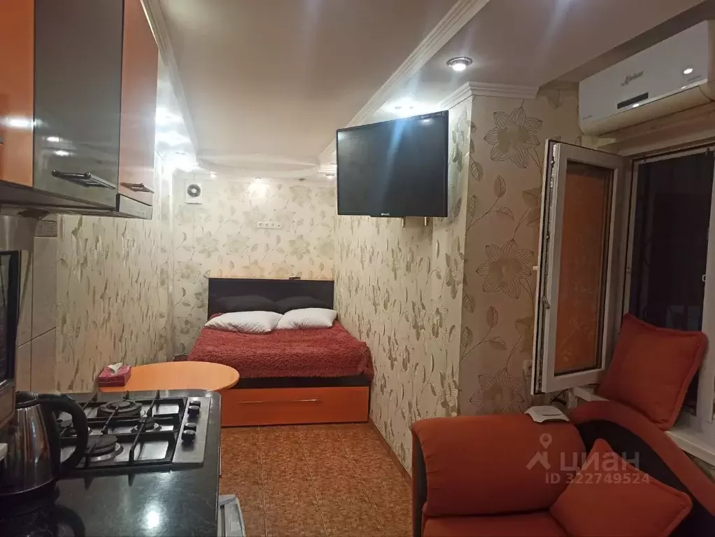 Студия Крым, Ялта пер. Потемкинский, 4 (27.0 м) - Фото 2