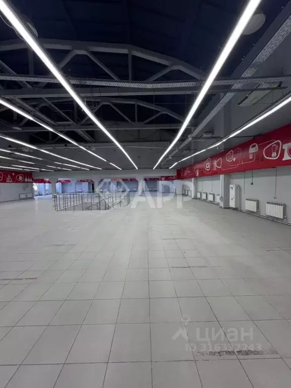 Помещение свободного назначения в Краснодарский край, Новороссийск ... - Фото 2