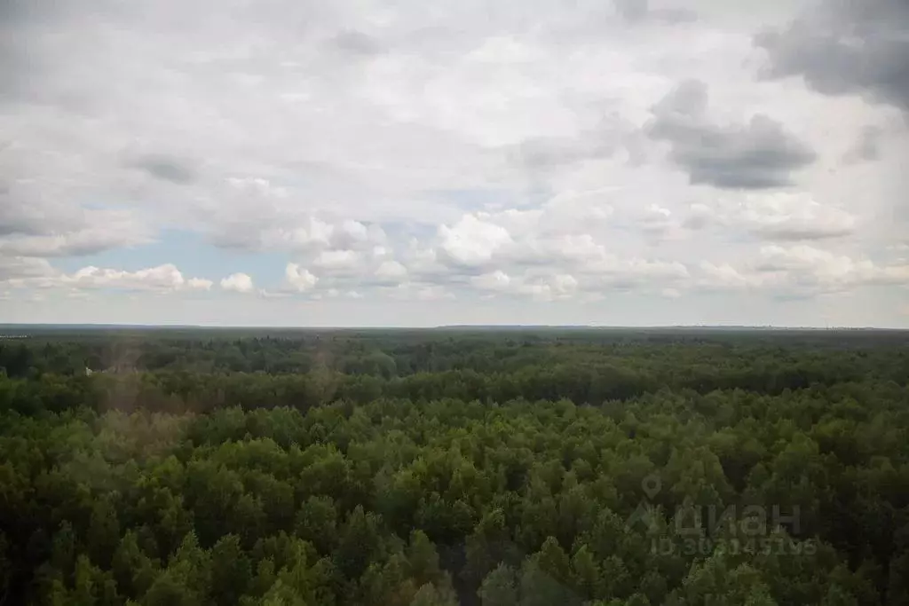 Студия Санкт-Петербург ул. Пейзажная, 24к1 (21.0 м) - Фото 1