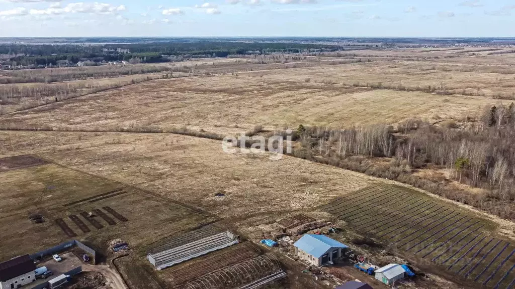 Участок в Ленинградская область, Гатчинский район, д. Новосиверская  ... - Фото 0