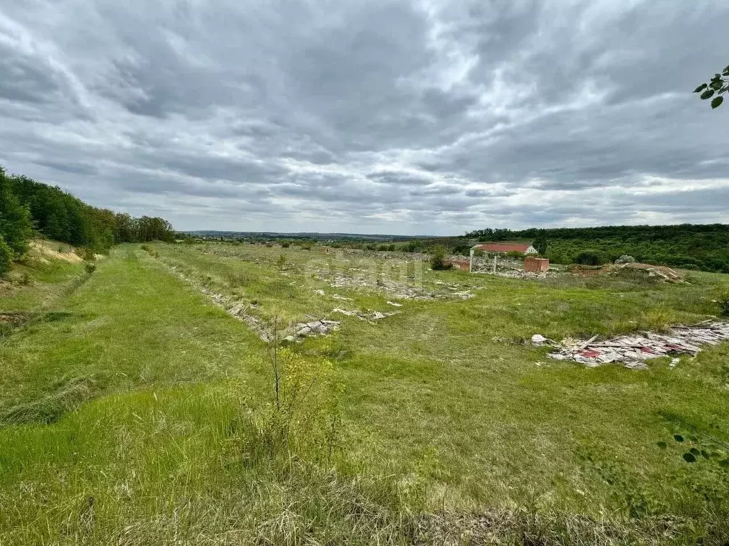 участок в белгородская область, яковлевский городской округ, с. . - Фото 1