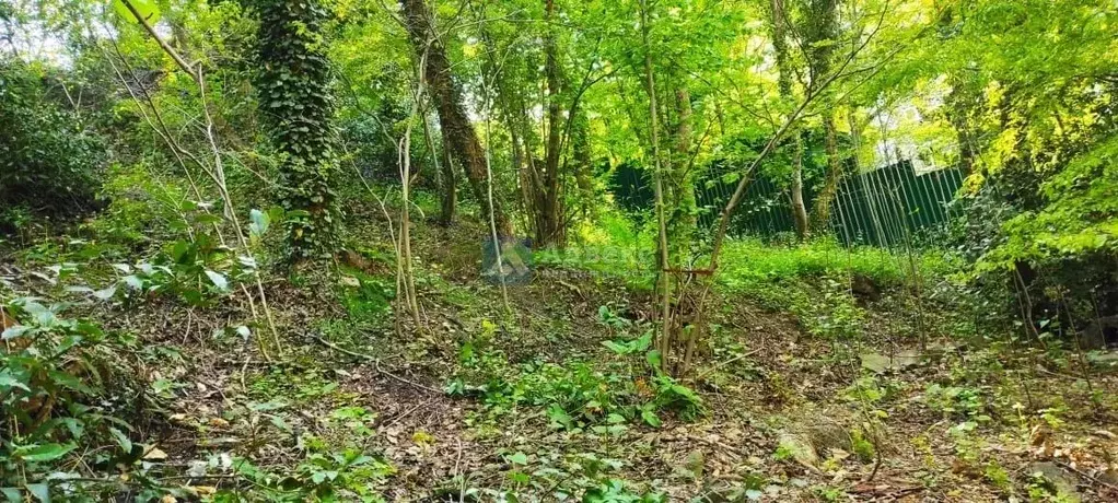 Участок в Крым, Ялта ул. Мисхорская, 6к2 (5.0 сот.) - Фото 2