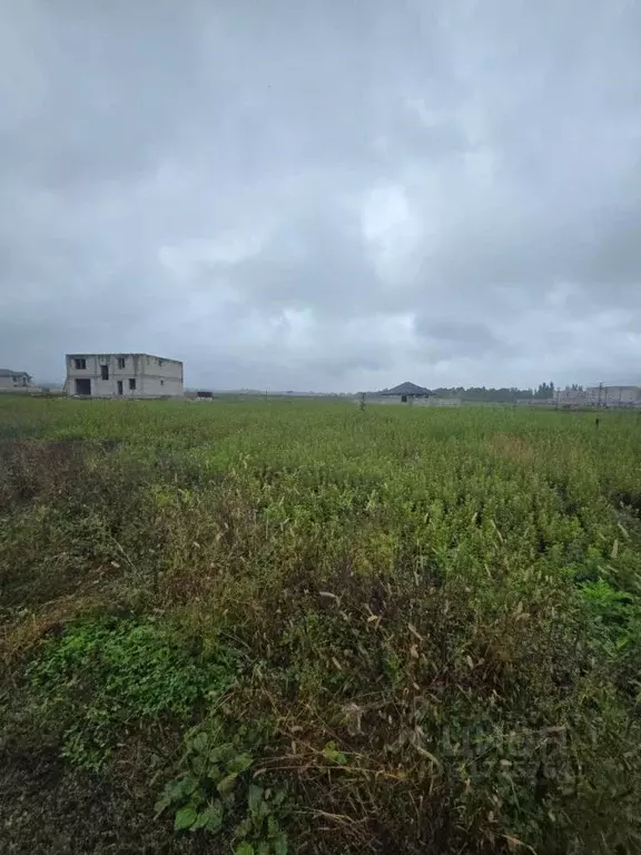 Участок в Кабардино-Балкария, Черекский район, Дубки-1 садовое ... - Фото 1