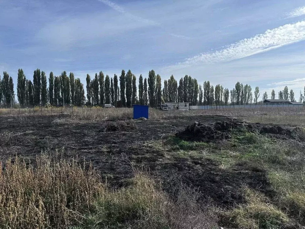 Участок в Краснодарский край, Динской район, Нововеличковское с/пос, ... - Фото 1