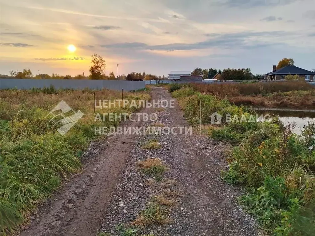Участок в Рязанская область, Рязанский муниципальный округ, с. Поляны ... - Фото 2