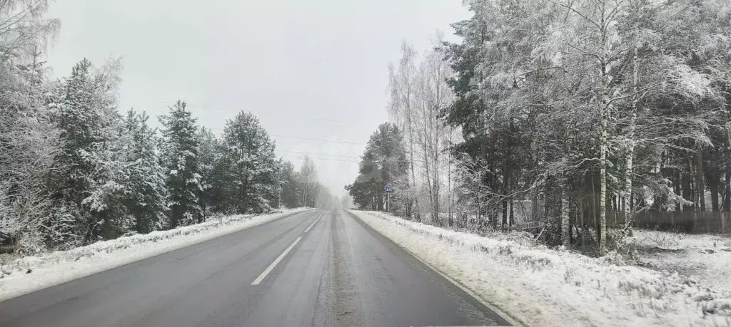 Участок в Владимирская область, Покров городской округ, д. Шиботово ... - Фото 2