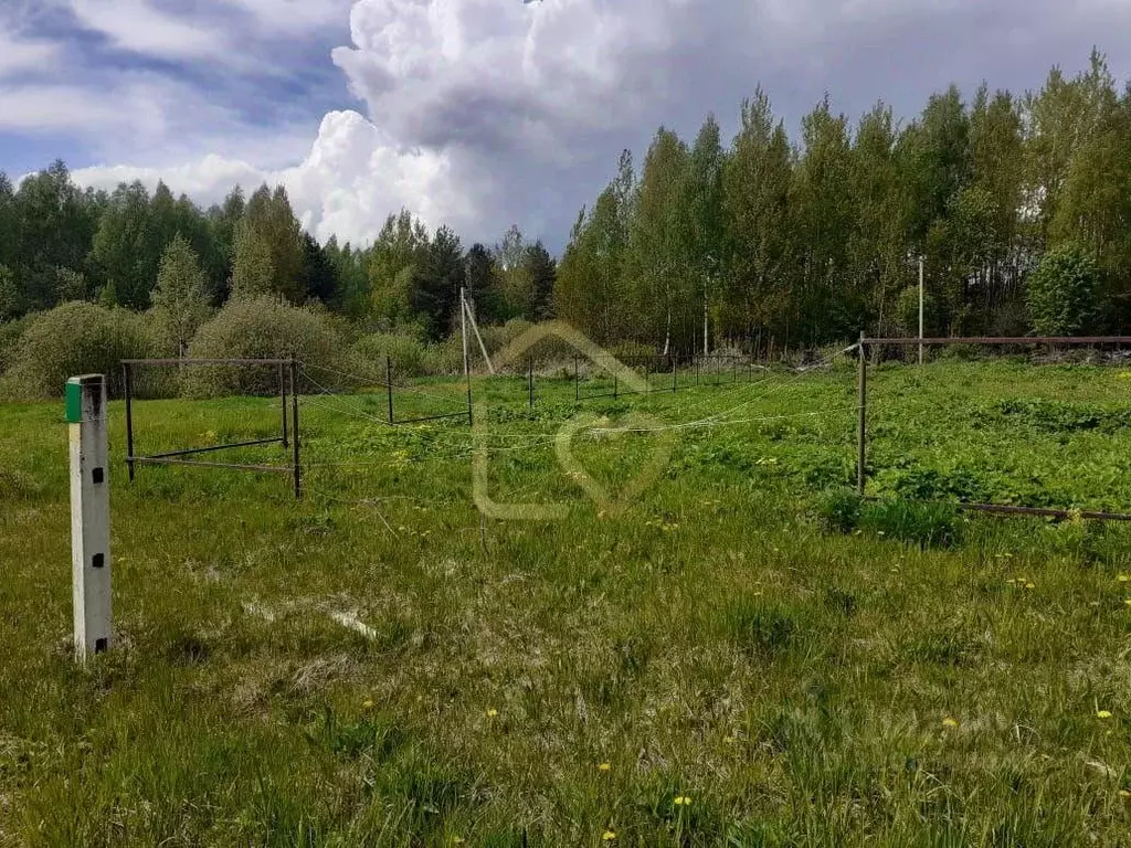 Участок в Тверская область, Калязин ул. Куликова (10.0 сот.) - Фото 1