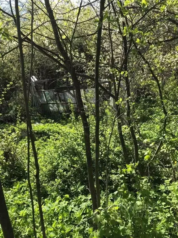 Участок в Нижегородская область, Нижний Новгород Маяк садовое ... - Фото 0