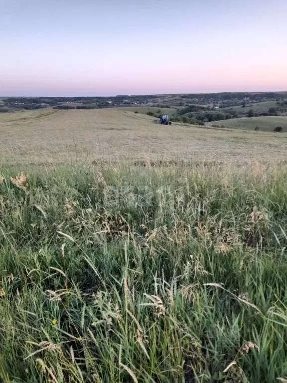 Участок в Белгородская область, Вейделевский район, Малакеевское ... - Фото 0