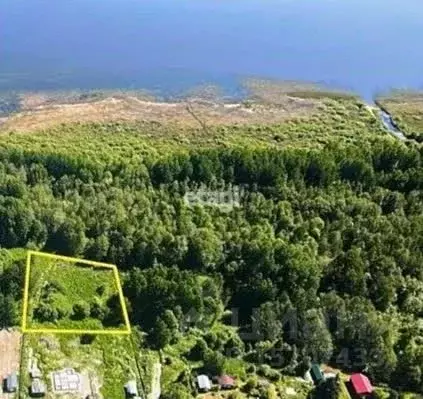 Участок в Ленинградская область, Приозерский район, Красноозерное ... - Фото 0