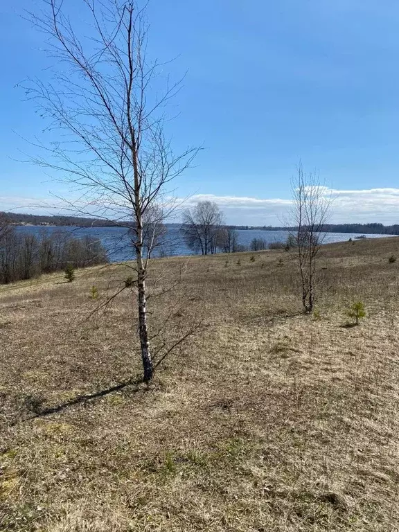 Участок в Тверская область, Осташковский муниципальный округ, д. ... - Фото 0