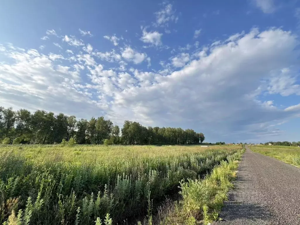 Участок в Московская область, Ступино Лесная ул. (8.0 сот.) - Фото 2