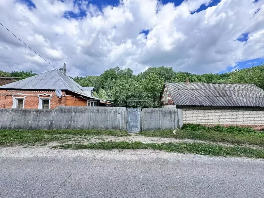 Дом в Белгородская область, Борисовка рп ул. Лесная, 48 (25 м) - Фото 1