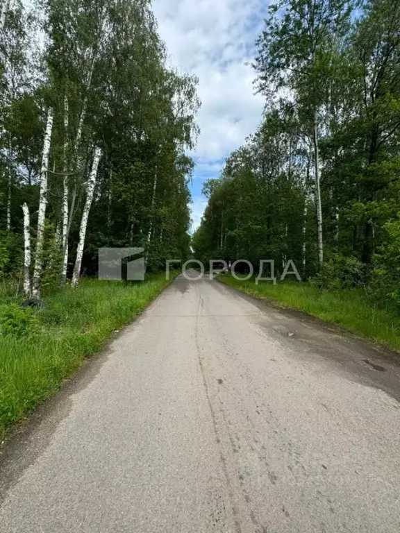 Участок в Московская область, Ступино городской округ, д. ... - Фото 1