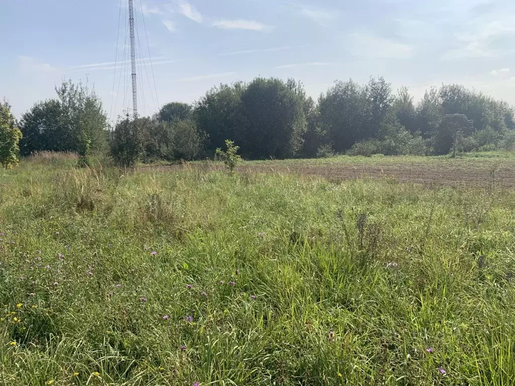 Участок в Московская область, Пушкинский городской округ, д. Цернское  ... - Фото 0