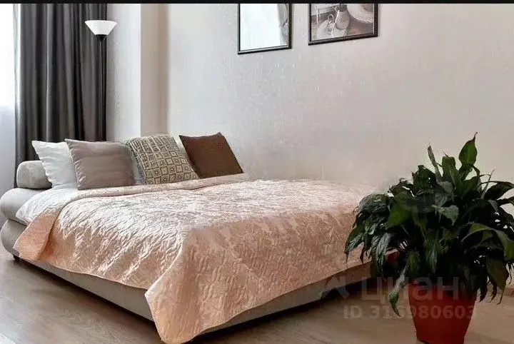 2-к кв. Краснодарский край, Сочи Виноградная ул., 224/11 (40.0 м) - Фото 1