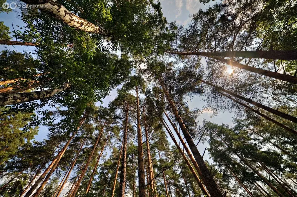 Участок в Московская область, муниципальный округ Истра, село ... - Фото 0