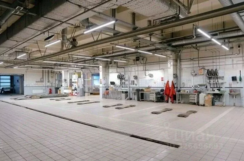 Помещение свободного назначения в Санкт-Петербург ул. Руставели, 31А ... - Фото 1