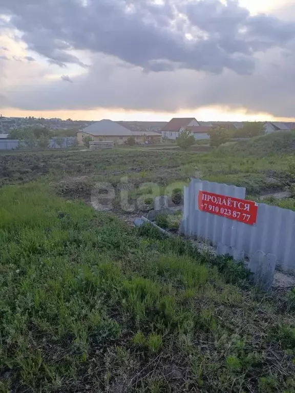 Участок в Белгородская область, Вейделевка рп ул. Маршала Жукова (15.0 ... - Фото 1
