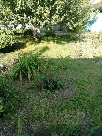 Участок в Воронежская область, Новоусманский район, Усманское 1-е ... - Фото 2