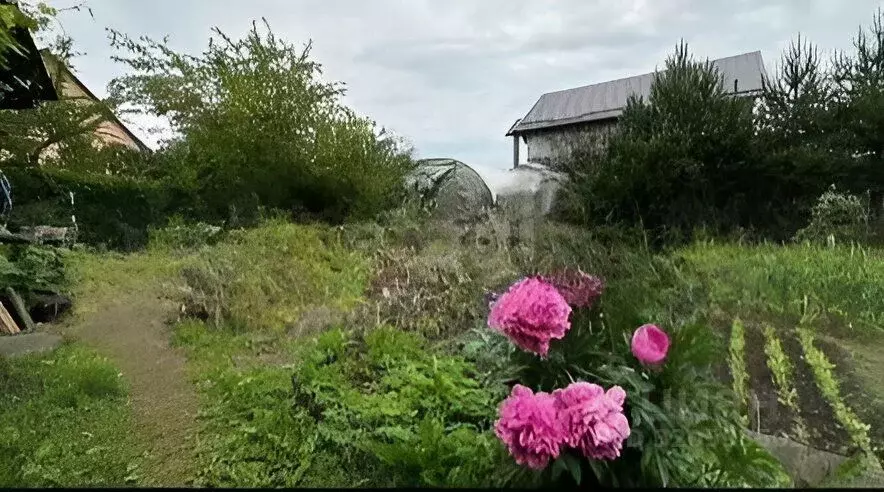 Участок в Калининградская область, Калининград Радуга СНТ, ул. 3-я ... - Фото 0