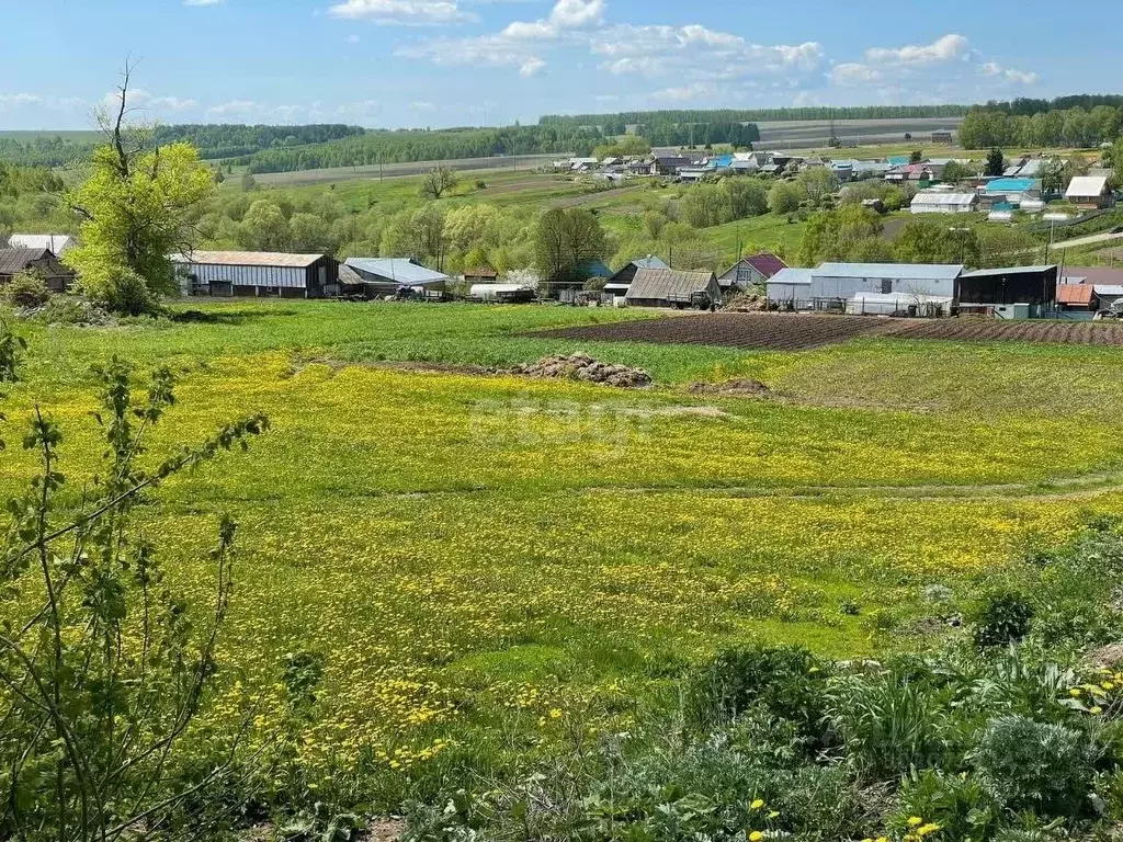 Участок в Татарстан, Высокогорский район, с. Большие Ковали  (20.0 ... - Фото 1