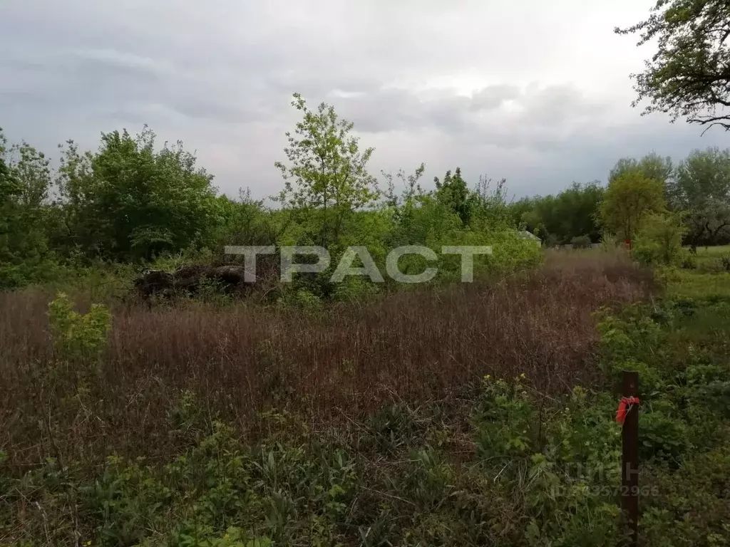 Участок в Воронежская область, Новоусманский район, ... - Фото 1