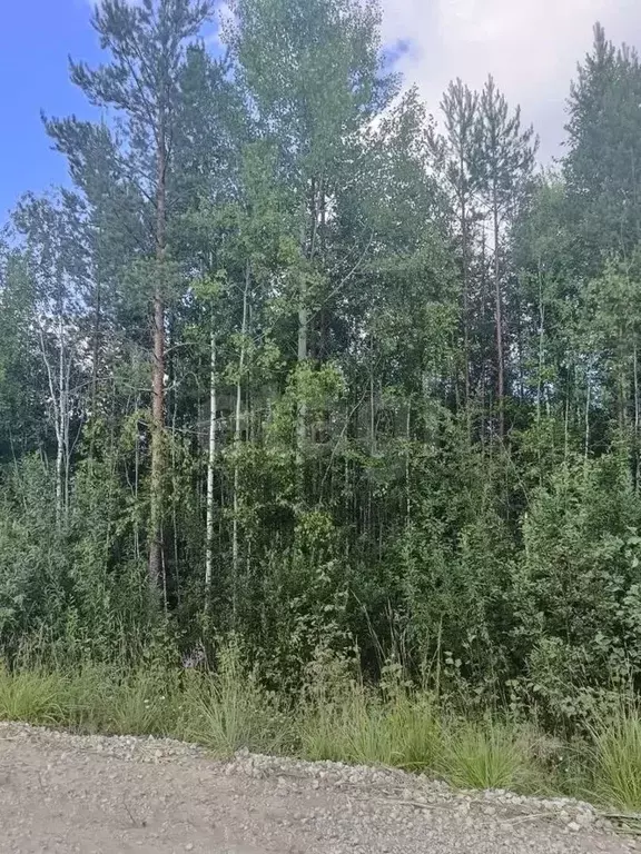 Участок в Коми, Сыктывкар городской округ, Верхняя Максаковка пгт, ... - Фото 2
