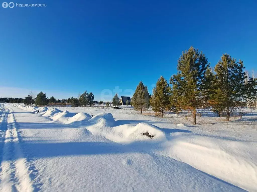 Участок в Нижнетавдинский район, садоводческое некоммерческое ... - Фото 0