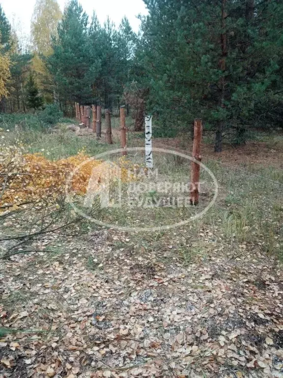 Участок в Пермский край, Чайковский городской округ, д. Марково ул. ... - Фото 1