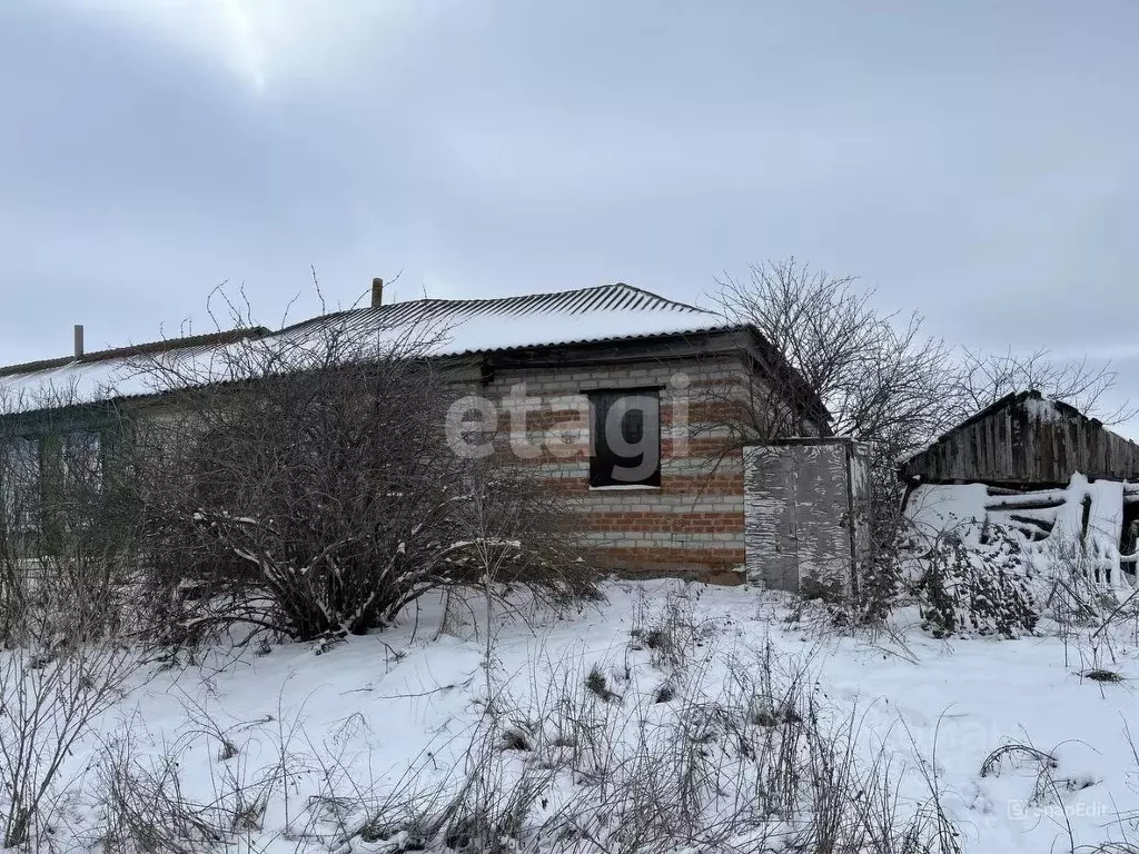 Участок в Воронежская область, Поворинский район, с. Рождественское ... - Фото 0