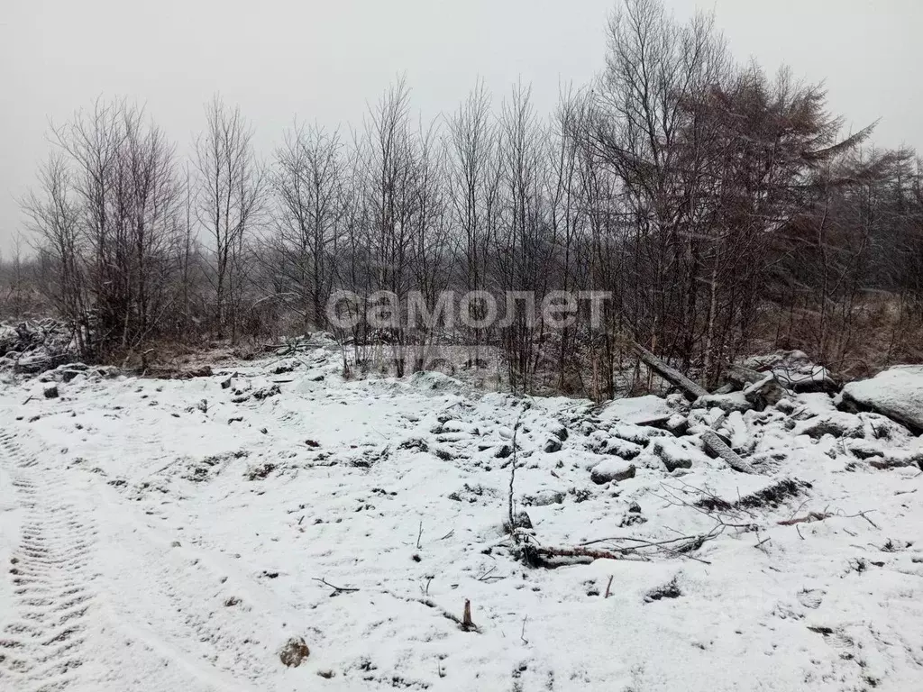 Участок в Сахалинская область, Анивский городской округ, с. Рыбацкое  ... - Фото 0