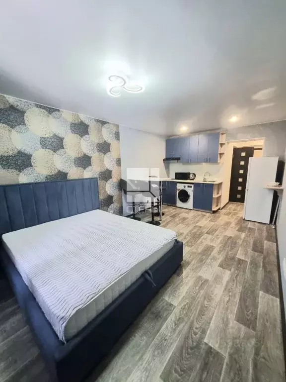 Студия Амурская область, Благовещенский район, с. Чигири ул. ... - Фото 1