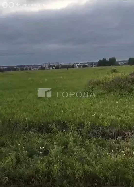 Участок в Новосибирский район, Морской сельсовет, ДНТ Усадьба (10.6 м) - Фото 0