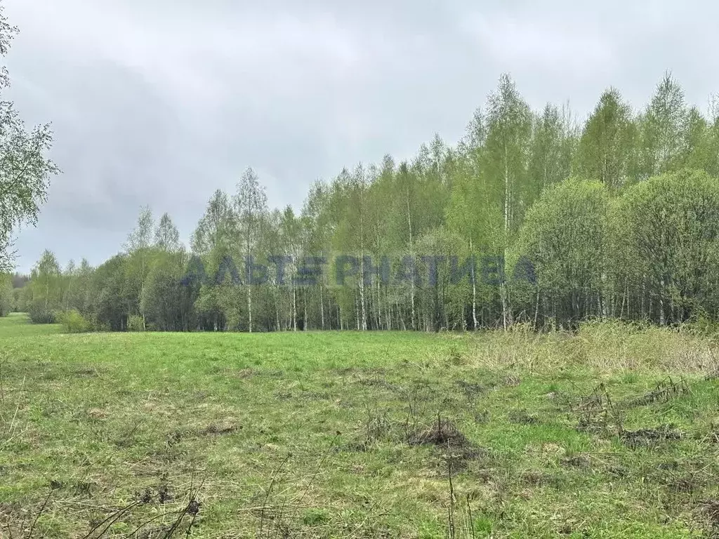 Участок в Ярославская область, Переславль-Залесский муниципальный ... - Фото 1