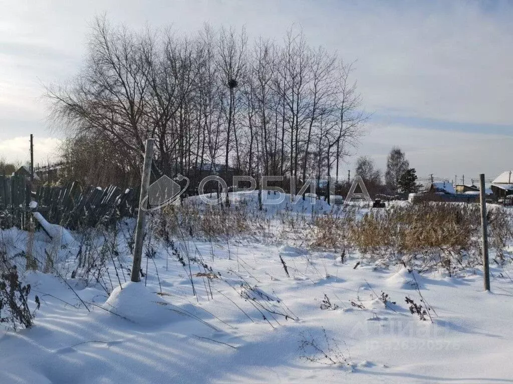 Участок в Тюменская область, Тюменский муниципальный округ, с. Каскара ... - Фото 2