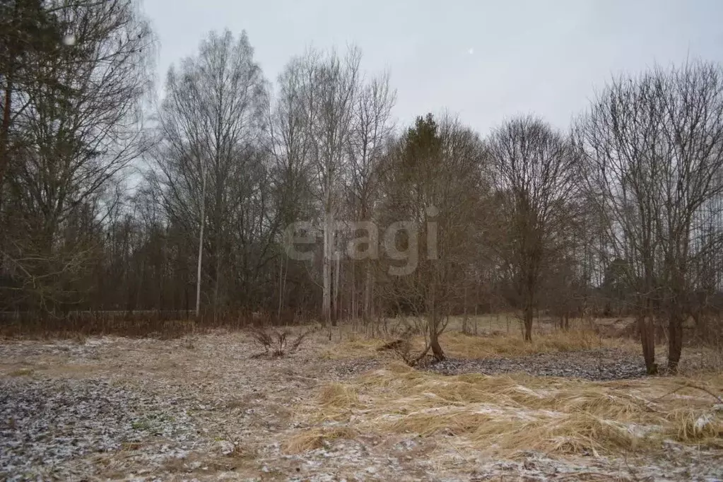 Участок в Псковская область, Порховский муниципальный округ, Медик СНТ ... - Фото 1