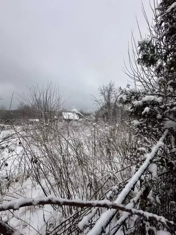 Участок в Калининградская область, Балтийск Балтийские Озерки СНТ,  ... - Фото 2