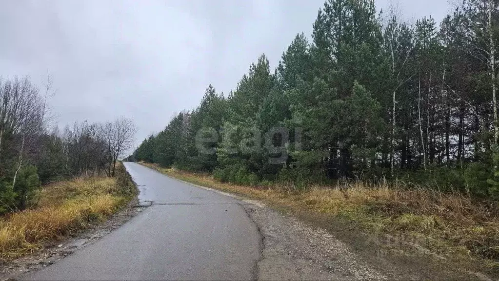 Участок в Татарстан, Казань Лесная Поляна кп,  (10.0 сот.) - Фото 1