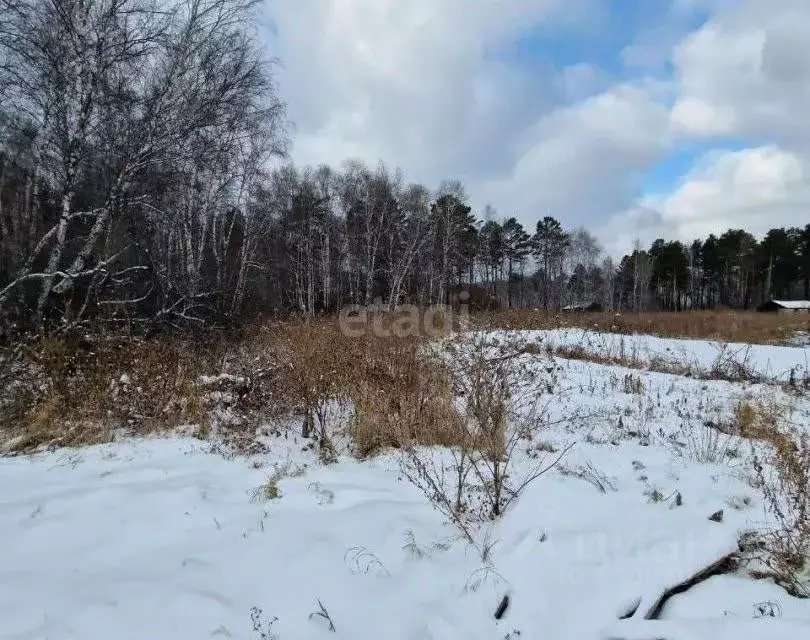 Участок в Забайкальский край, Чита Светлый мкр,  (8.1 сот.) - Фото 1