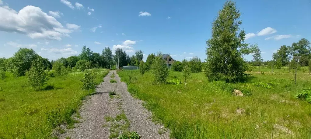 Участок в Московская область, Рузский городской округ, д. Волынщино ... - Фото 1