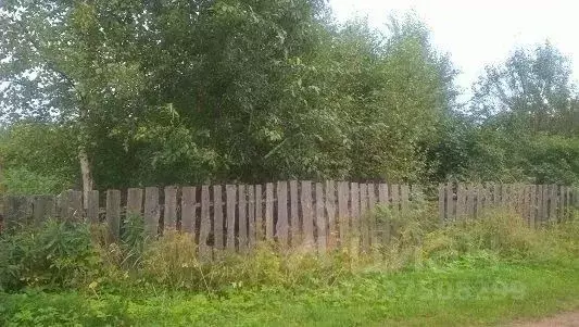 Участок в Новгородская область, Маловишерский район, Бургинское с/пос, ... - Фото 1