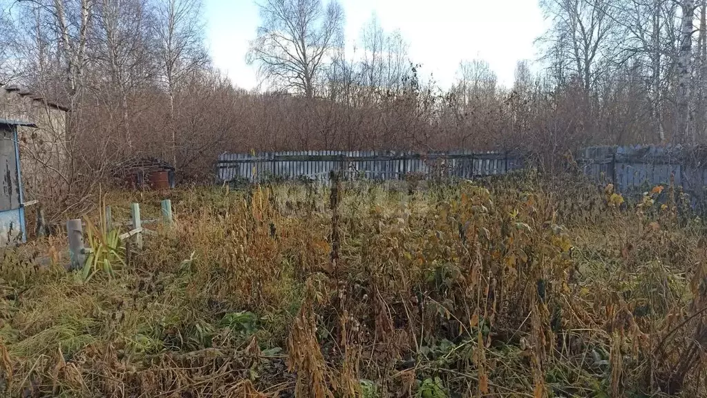 Участок в Тюменская область, Нижнетавдинский муниципальный округ, ... - Фото 0