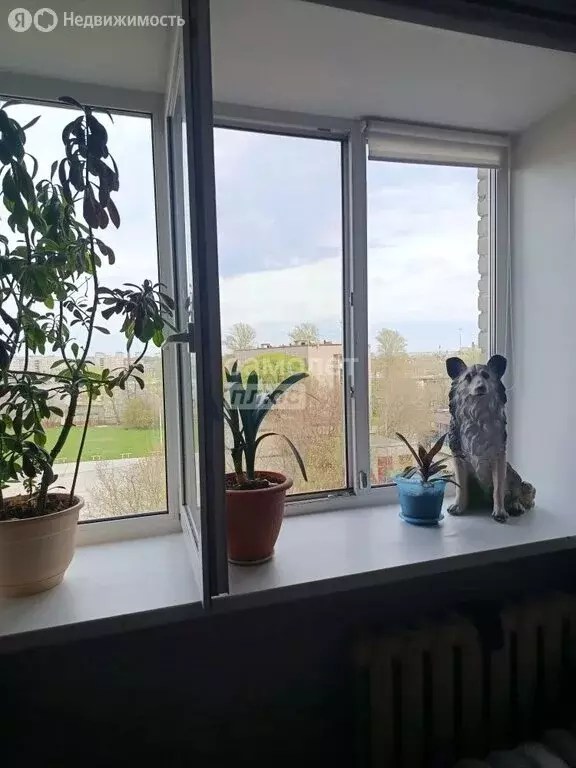 1к в 20-комнатной квартире (18.5 м) - Фото 2