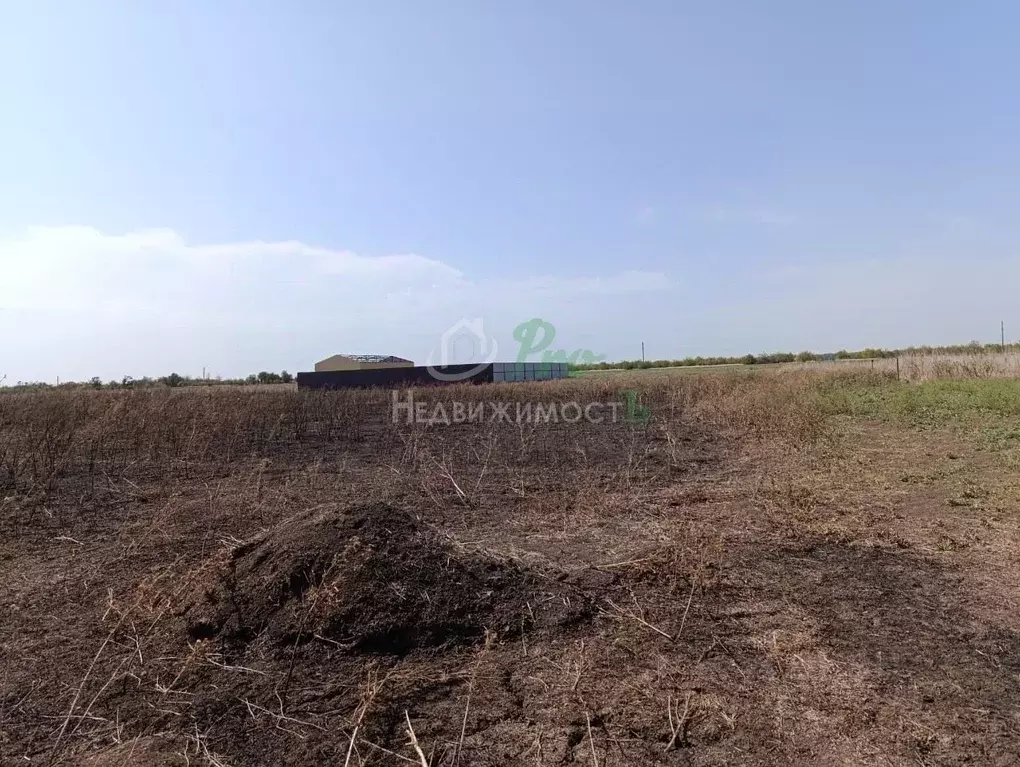 Участок в Краснодарский край, Ейск ул. Чайковского (6.0 сот.) - Фото 1