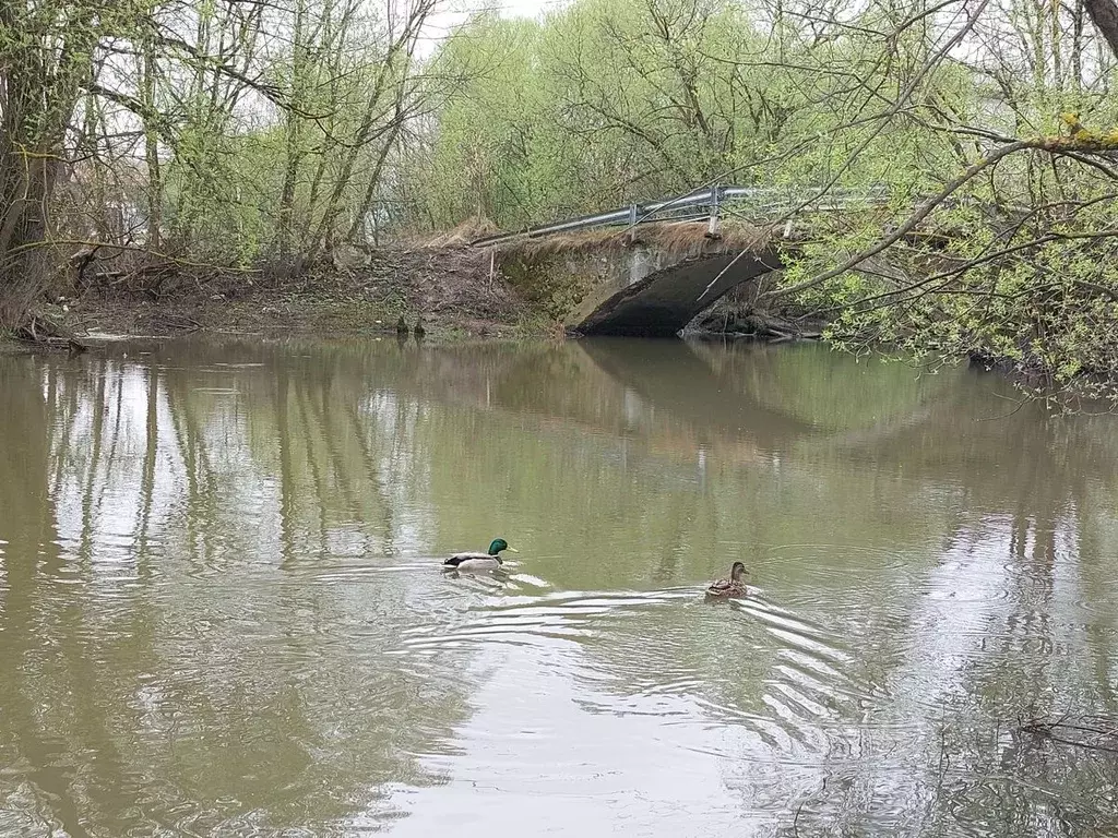 Участок в Московская область, Подольск городской округ, с. Сынково 68 ... - Фото 0