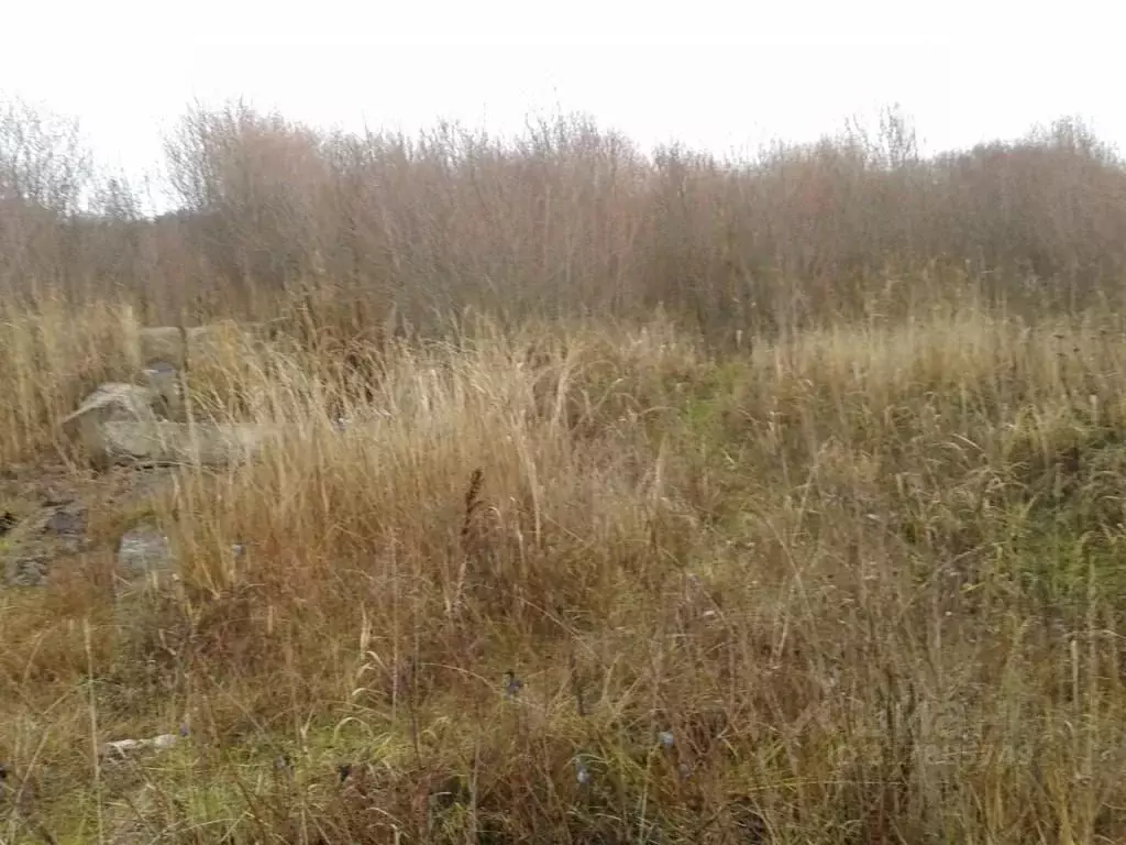 Участок в Псковская область, Псков Почтовая ул. (11.0 сот.) - Фото 1